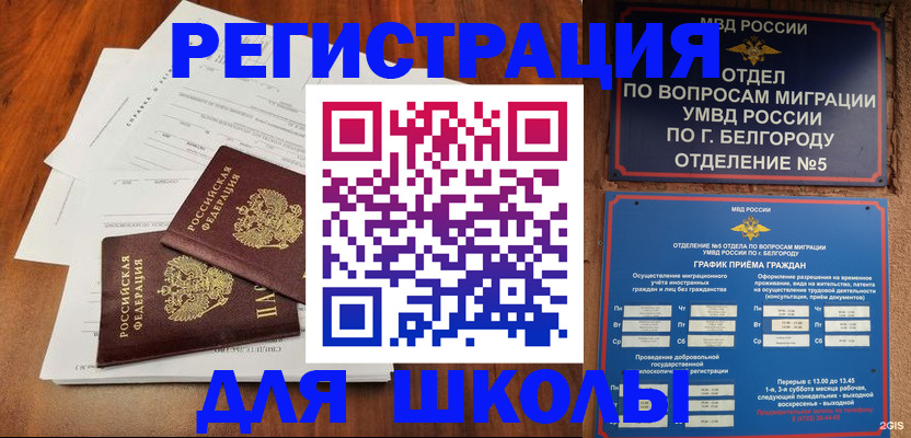 прописка поиск в Ногинске